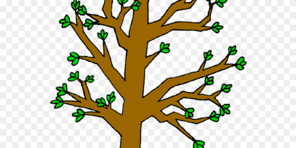 Bark Clipart Tree Stem, Plant, Leaf, Flower, Outdoors Png