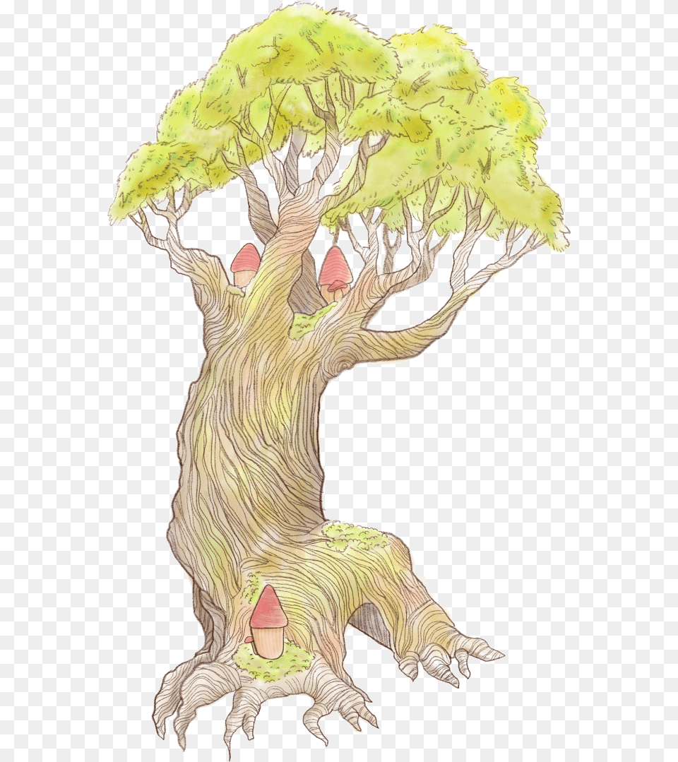 Bark Thickness Linked To Tree Death In Amazon Wildfires Illustration, Potted Plant, Plant, Art, Reptile Free Transparent Png