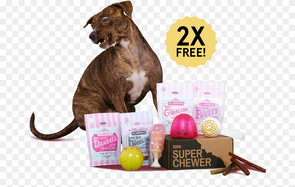 Barkbox A Monthly Box Of Dog Goodies And Super Tough Super Chewer Barkbox February 2019, Animal, Wildlife, Mammal, Bear Free Png