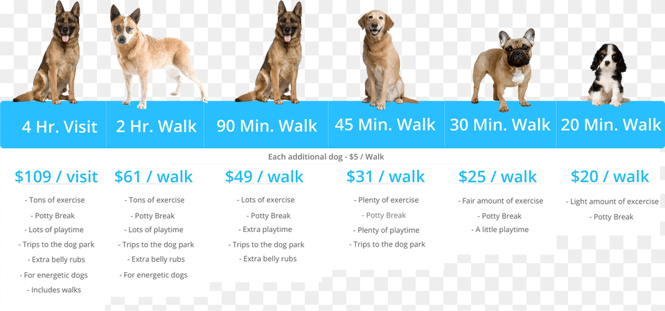 Barkbud Pricing Table Guard Dog, Animal, Canine, Mammal, Pet Png