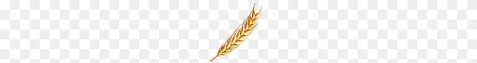 Barley, Food, Grain, Produce, Wheat Png Image