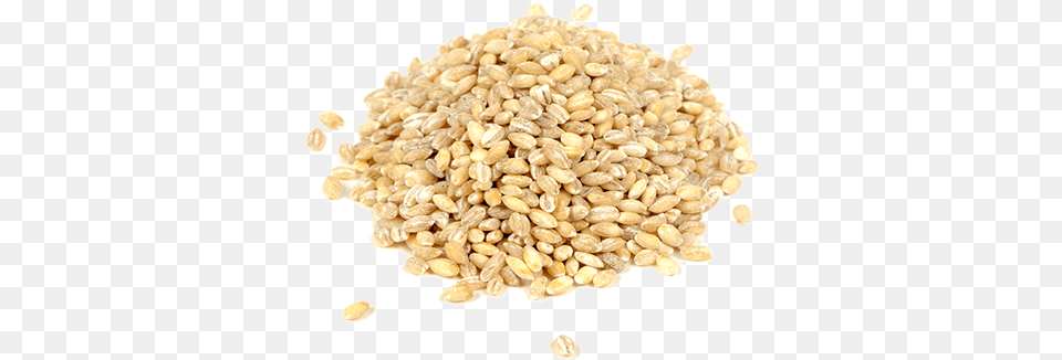 Barley Barley Seed Transparent, Food, Grain, Produce, Wheat Free Png