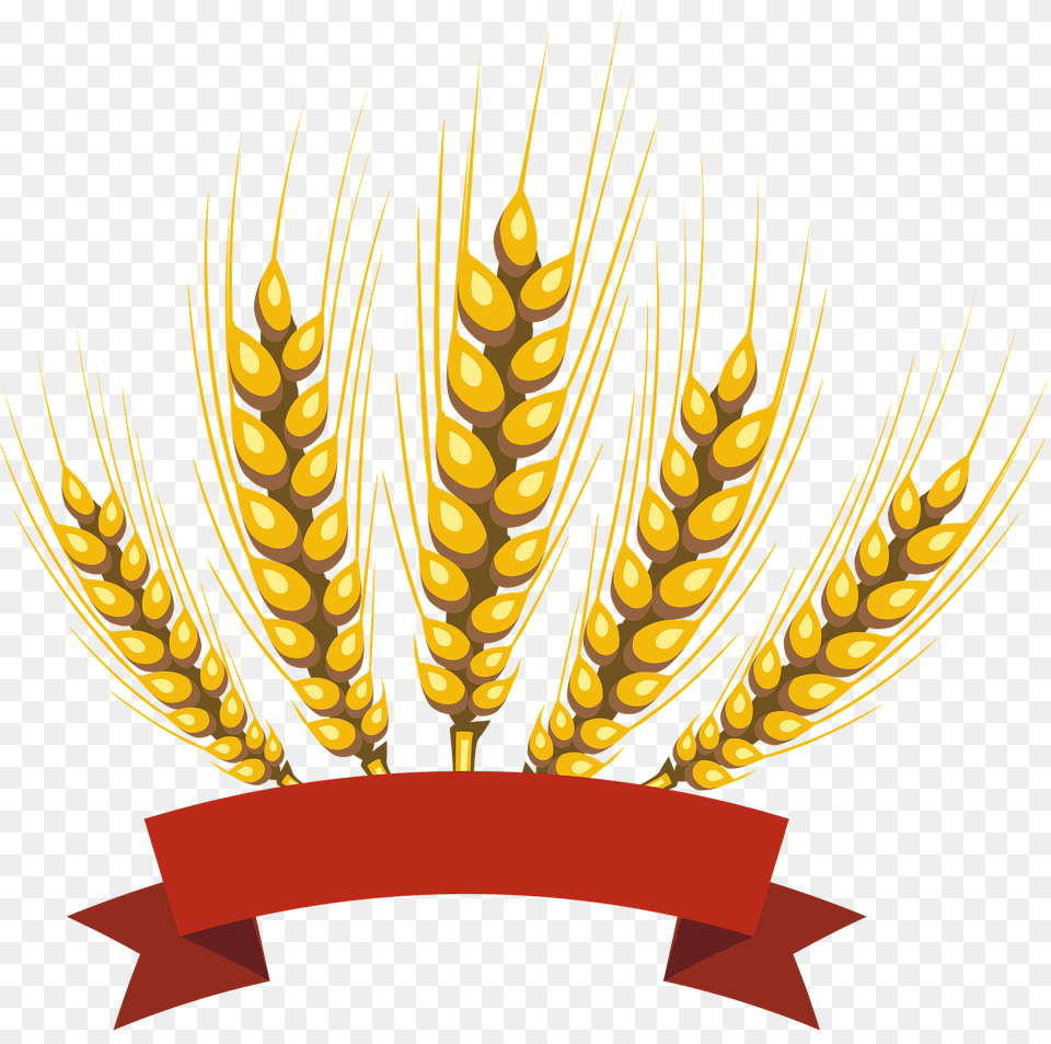 Barley Clipart, Food, Grain, Produce, Wheat Png Image