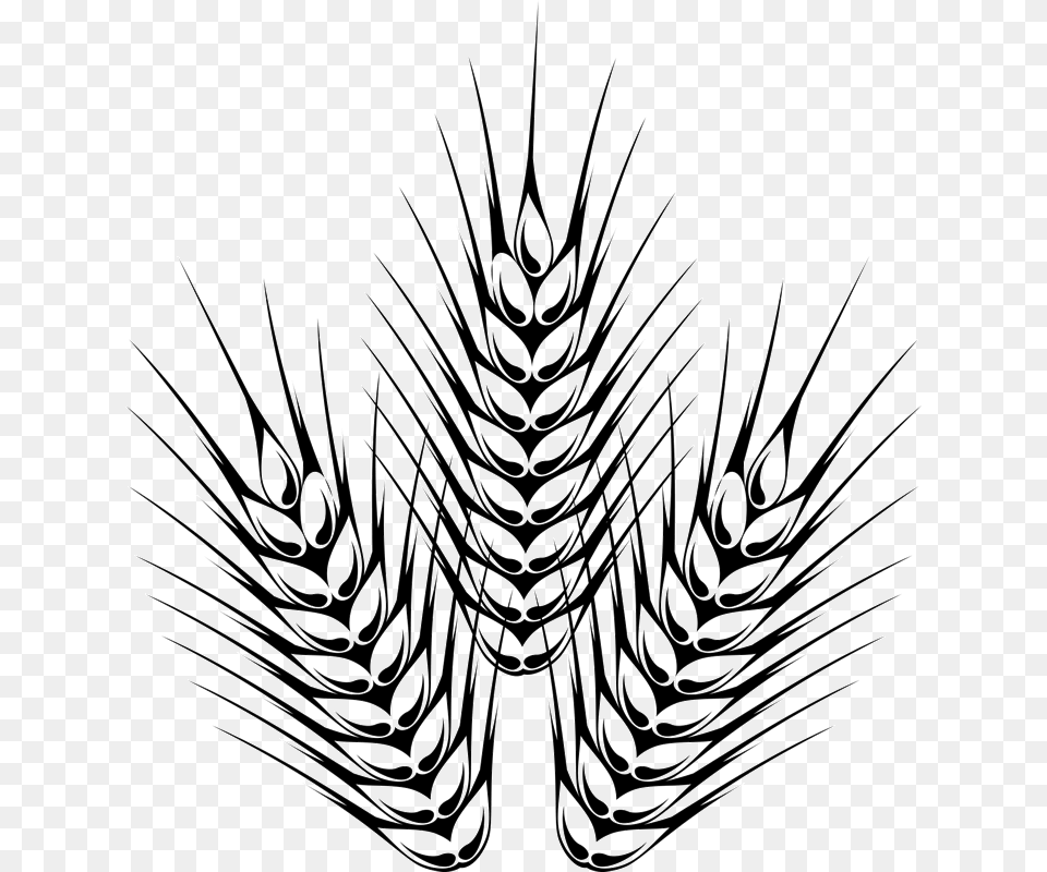 Barley Drawing Easy For Free Download, Art, Plant, Food, Grain Png