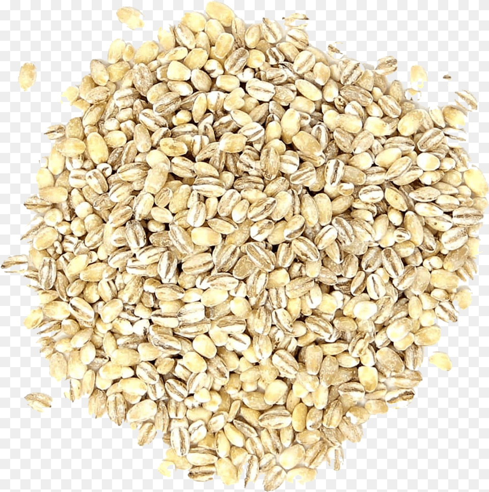Barley Grain Pic Hulled Barley, Food, Produce, Wheat, Plant Png Image