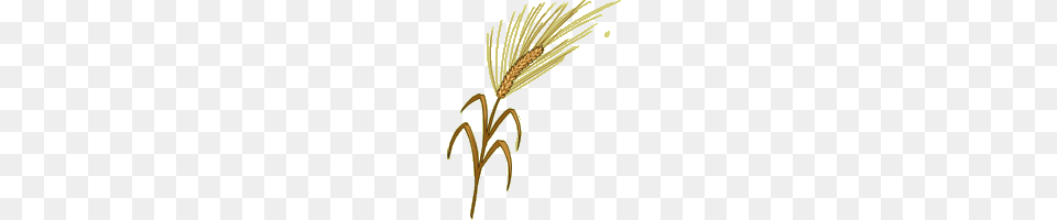 Barley Howrse Wiki Fandom Powered, Food, Grain, Produce, Wheat Png Image