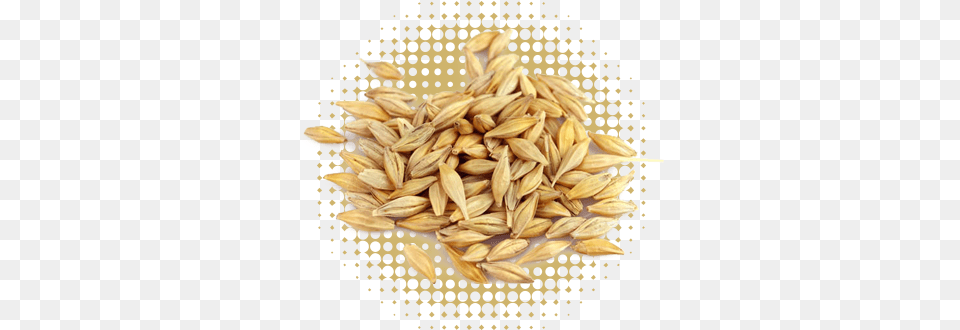 Barley Wheat Barley, Food, Grain, Produce, Fruit Free Transparent Png