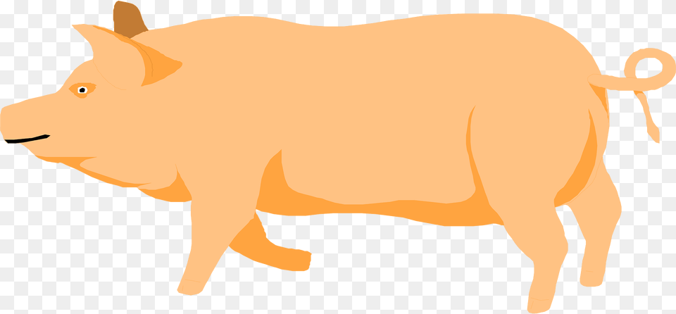 Barn Clipart, Animal, Mammal, Pig, Hog Free Png