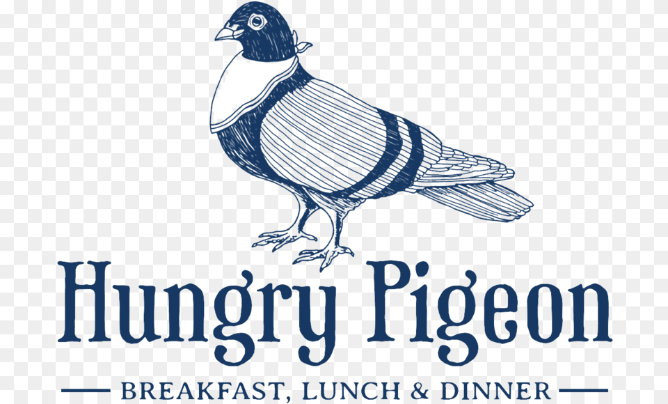 Barn Download Hungry Pigeon, Animal, Bird, Vulture Free Png
