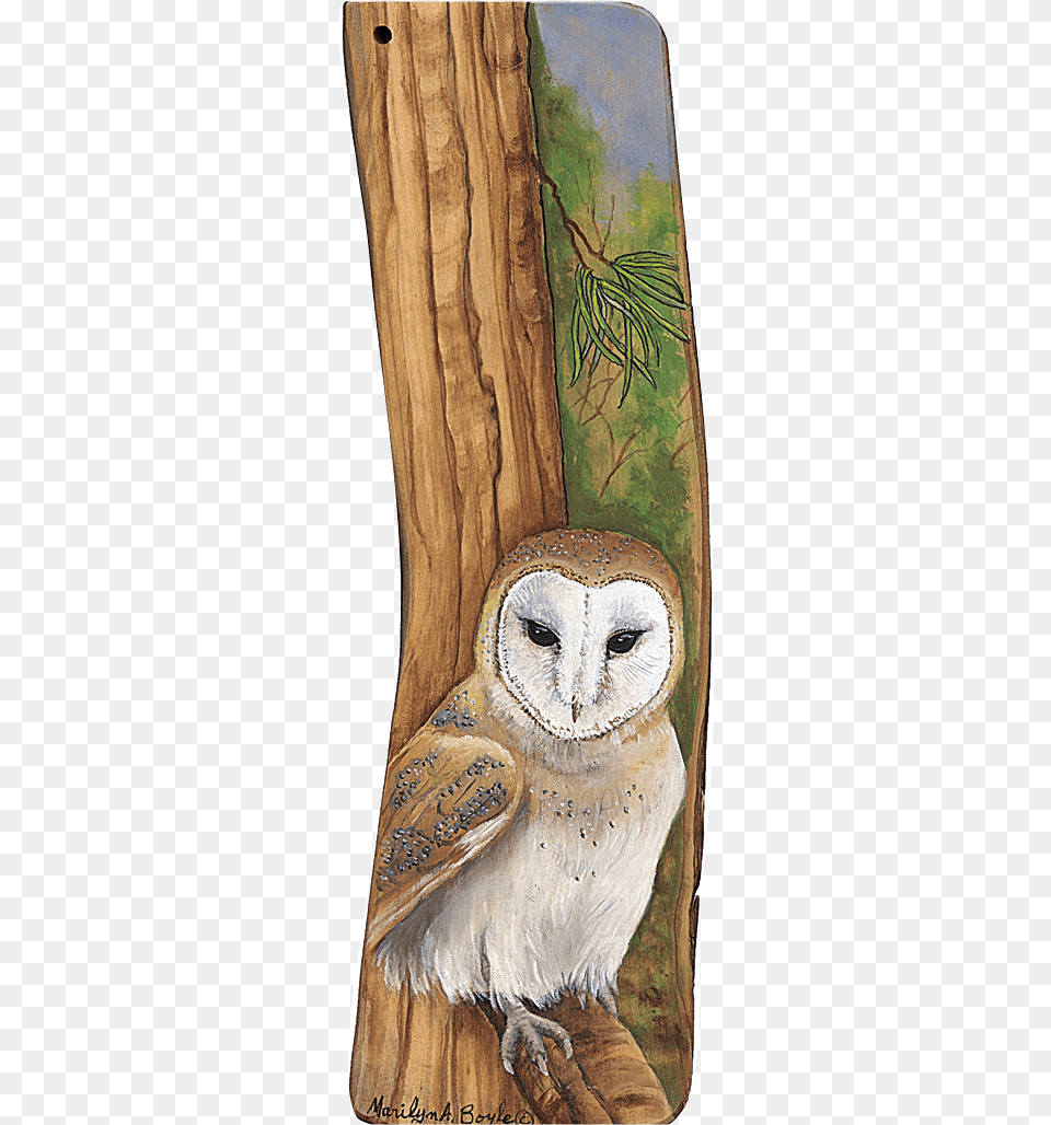 Barn Owl, Animal, Bird, Plant, Tree Png