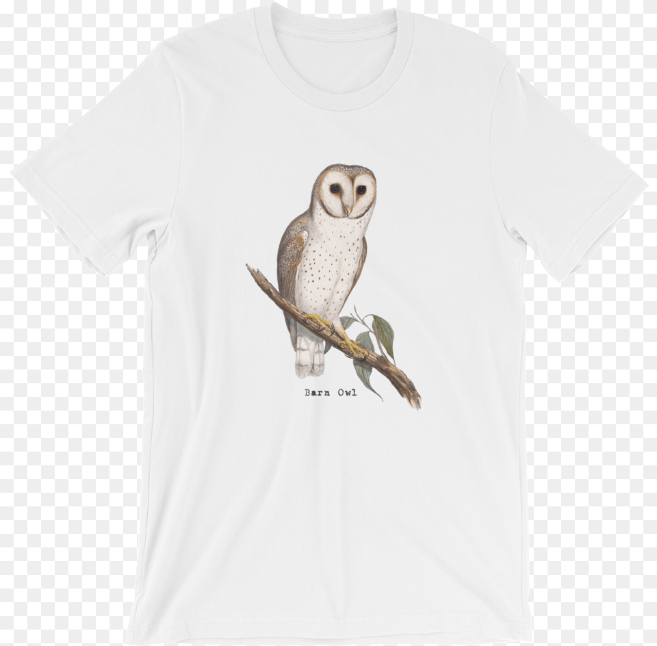 Barn Owl, Clothing, T-shirt, Animal, Bird Free Transparent Png
