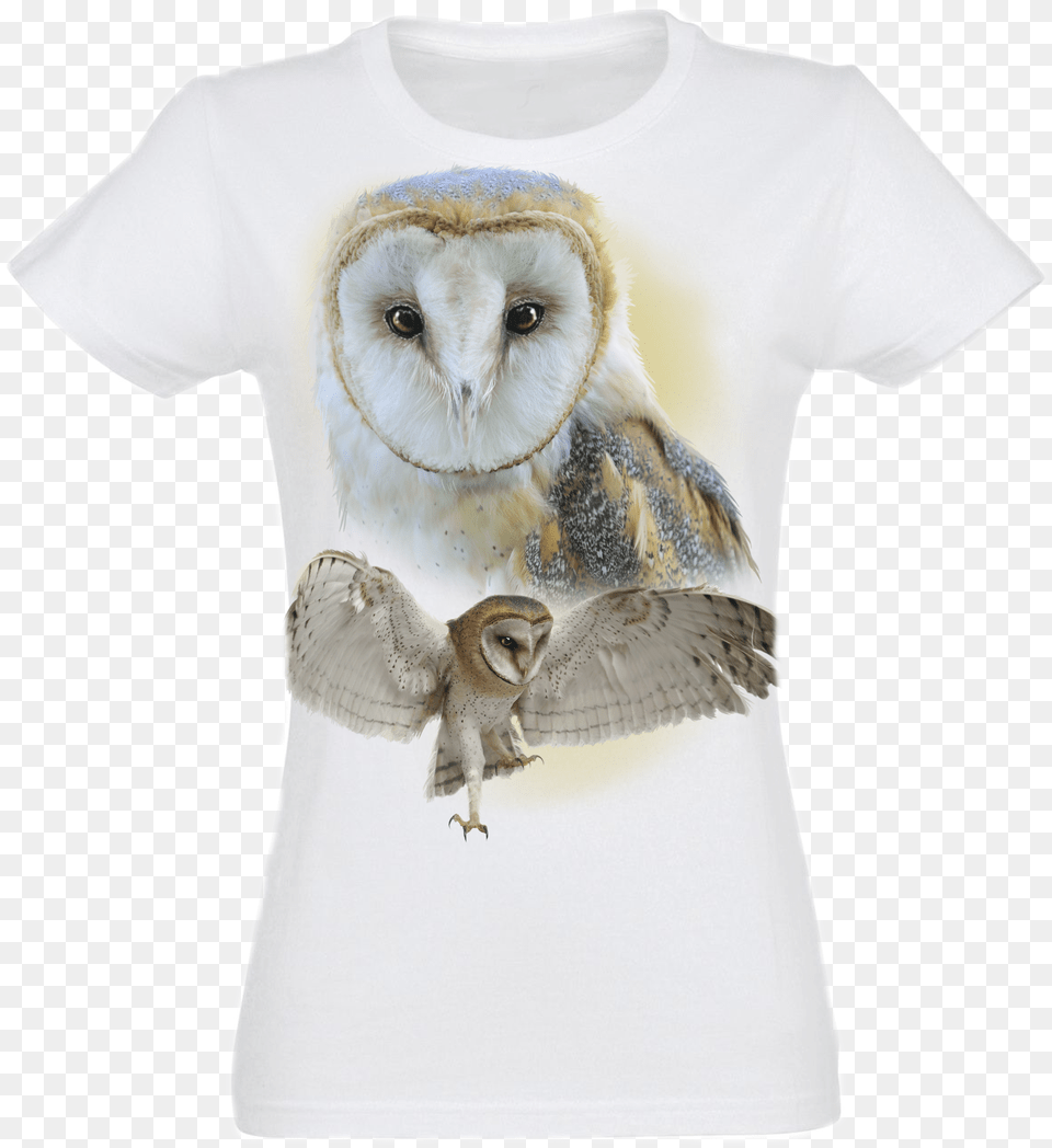 Barn Owl, Clothing, T-shirt, Animal, Bird Png