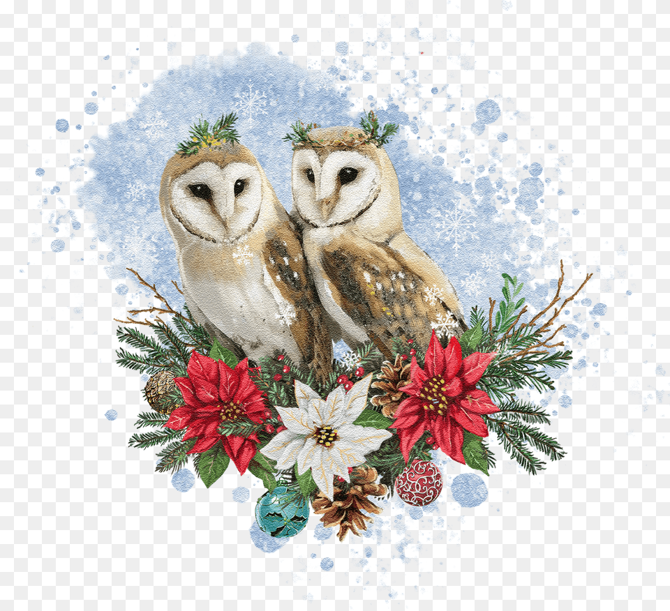 Barn Owl Free Transparent Png