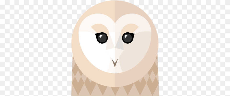 Barn Owl, Animal, Bird, Disk Free Transparent Png