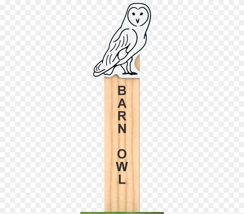 Barn Owl Animal Faces A E Evans Solid, Bird Free Png