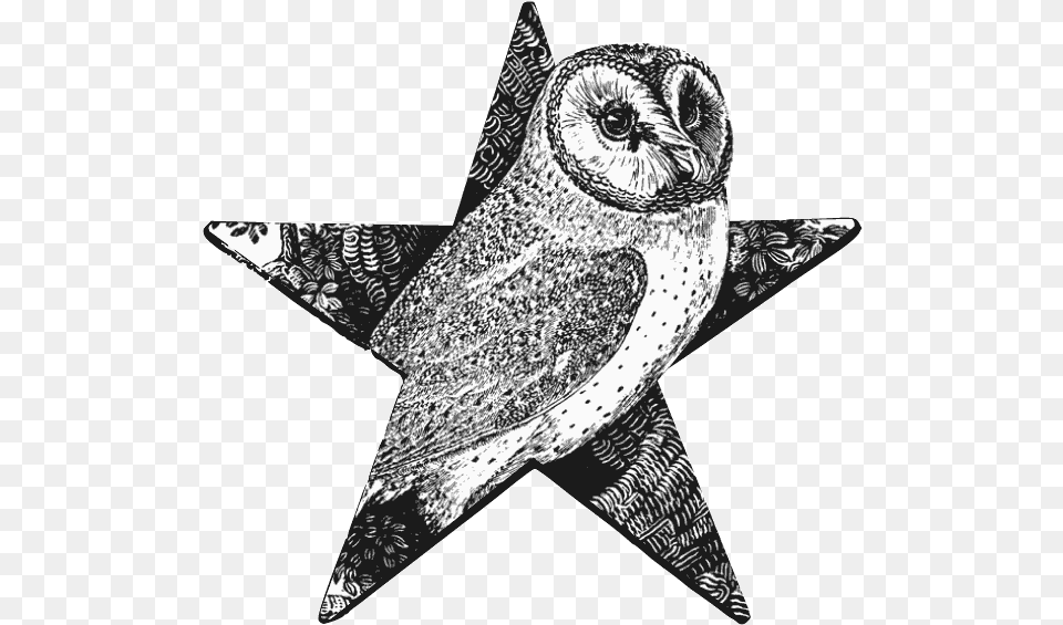 Barn Owl Barnstar Thomas Bewick Animals, Art, Drawing, Animal, Bird Png Image