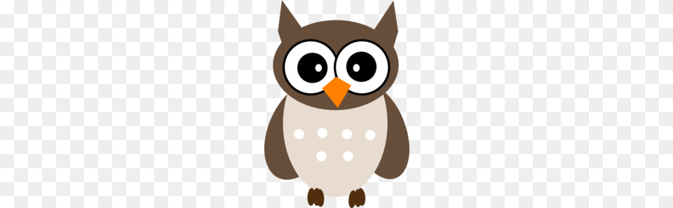 Barn Owl Clipart, Baby, Person, Animal, Bird Png Image