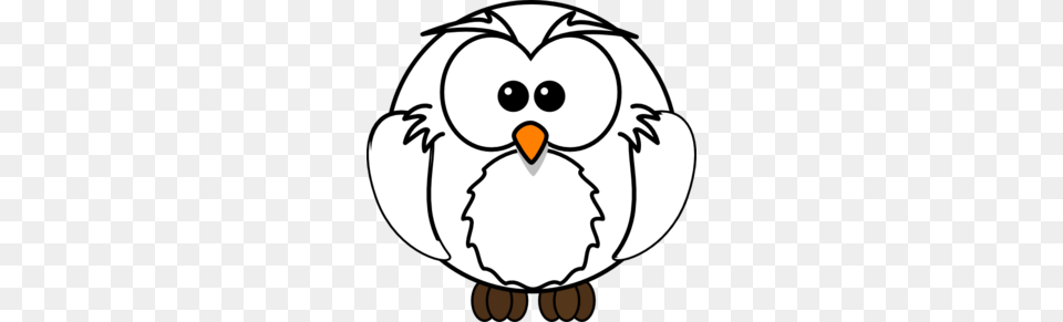 Barn Owl Clipart Wise Owl, Animal, Beak, Bird, Nature Free Transparent Png