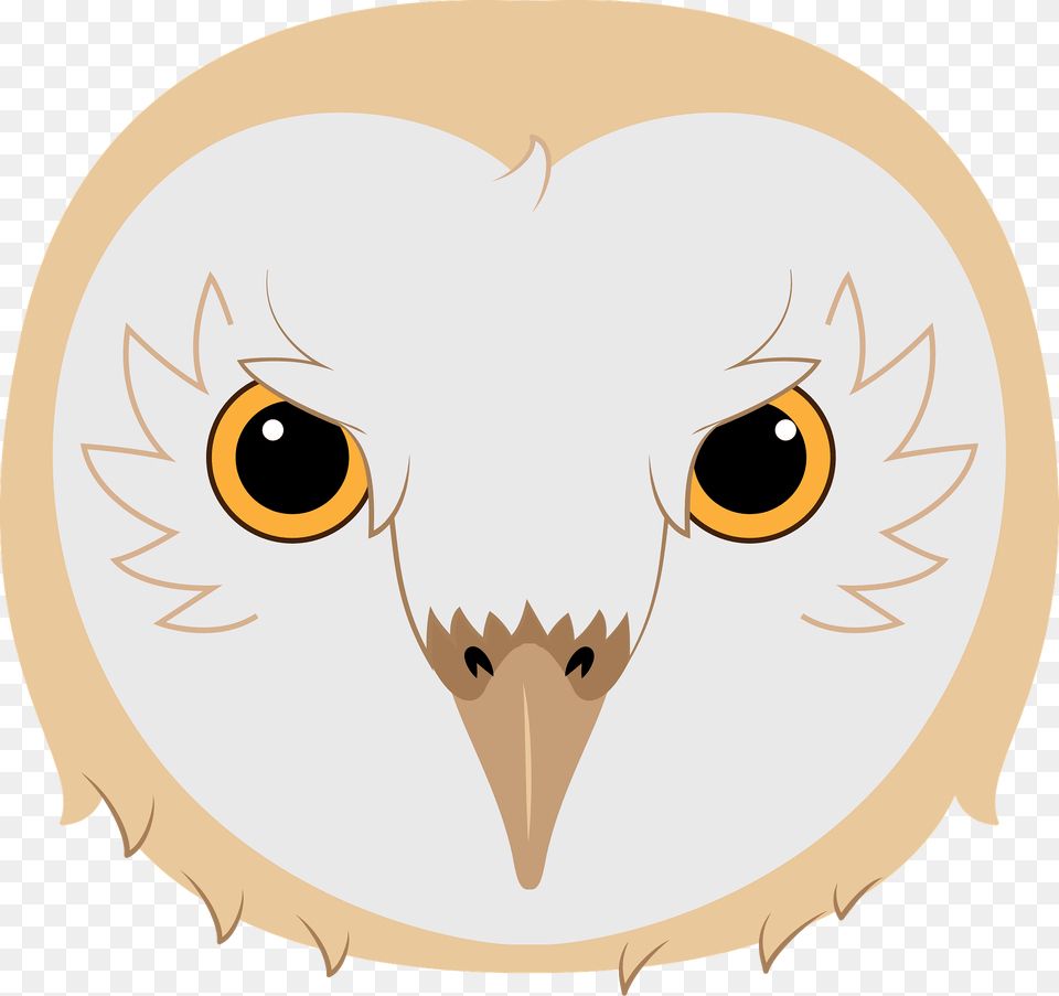 Barn Owl Face Clipart, Animal, Beak, Bird, Fish Png Image