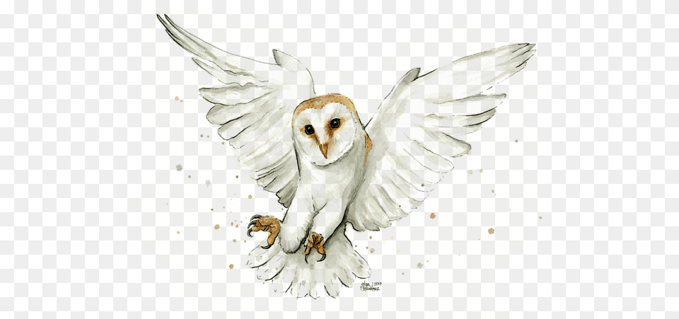 Barn Owl Flying Watercolor Onesie For Barn Owl Watercolor, Animal, Bird Png Image