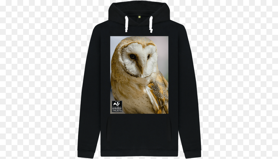 Barn Owl Hoody Sweatshirt, Animal, Bird, Sweater, Knitwear Free Transparent Png