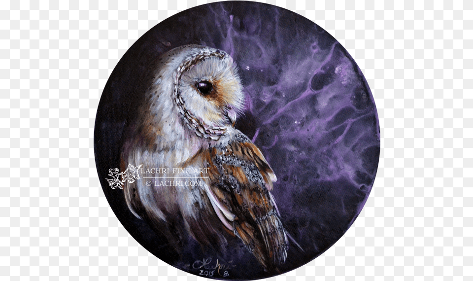 Barn Owl Round Painting Owl Painting, Animal, Bird, Photography Free Png