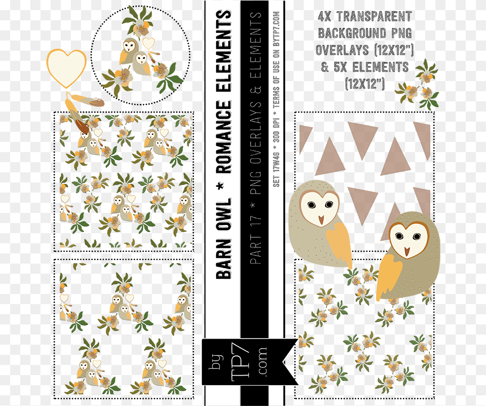 Barn Owl Sets Cartoon, Art, Collage, Book, Publication Free Png Download