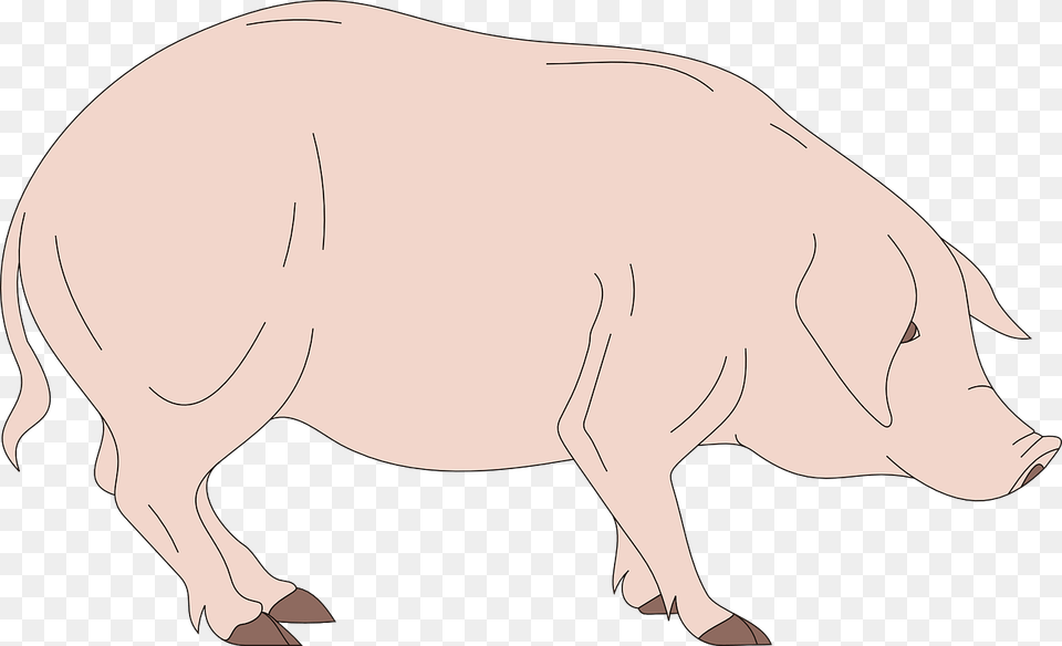 Barn Pig Side View Standing Animal Pig Head Cartoon Side View, Boar, Hog, Mammal, Wildlife Free Png Download