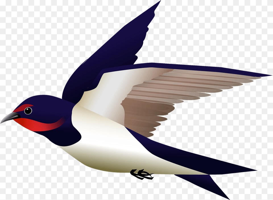 Barn Swallow Bird Clipart, Animal, Fish, Sea Life, Shark Png Image