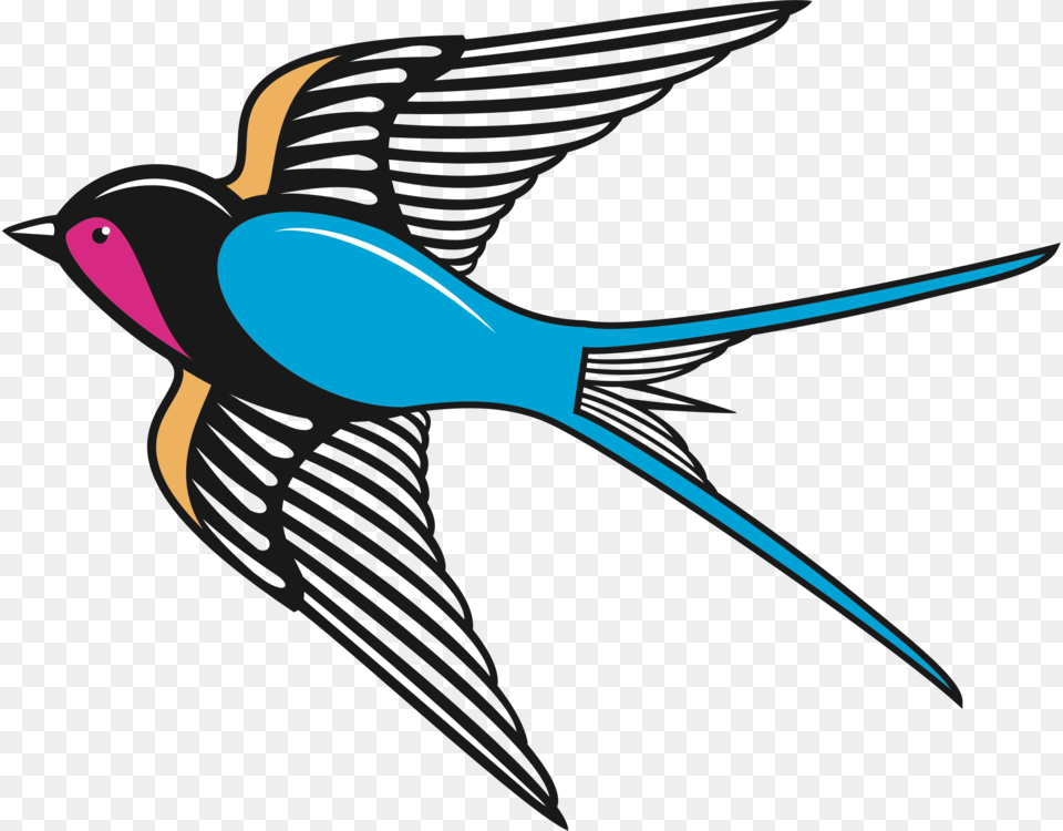 Barn Swallow Bird Computer Icons Encapsulated Postscript Animal, Fish, Sea Life, Shark Free Png