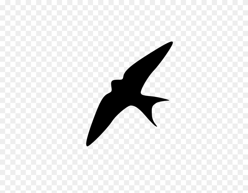 Barn Swallow Silhouette Bird Wing, Gray Png Image
