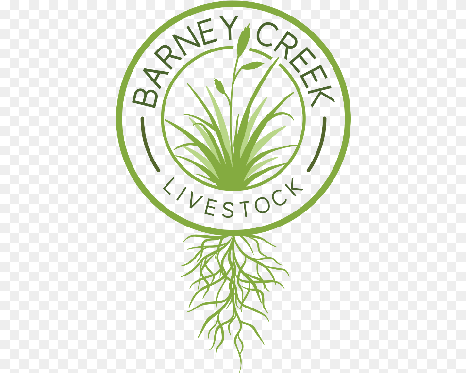 Barney Creek Logo Color No 1 Trusted Brand, Plant, Grass, Vegetation Png