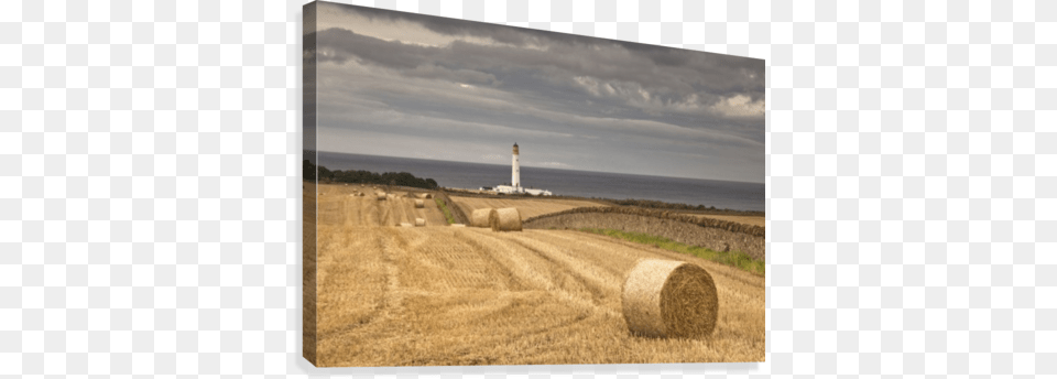 Barns Ness Lighthouse Along The Coast And Hay Bales, Scenery, Outdoors, Nature, Straw Png Image