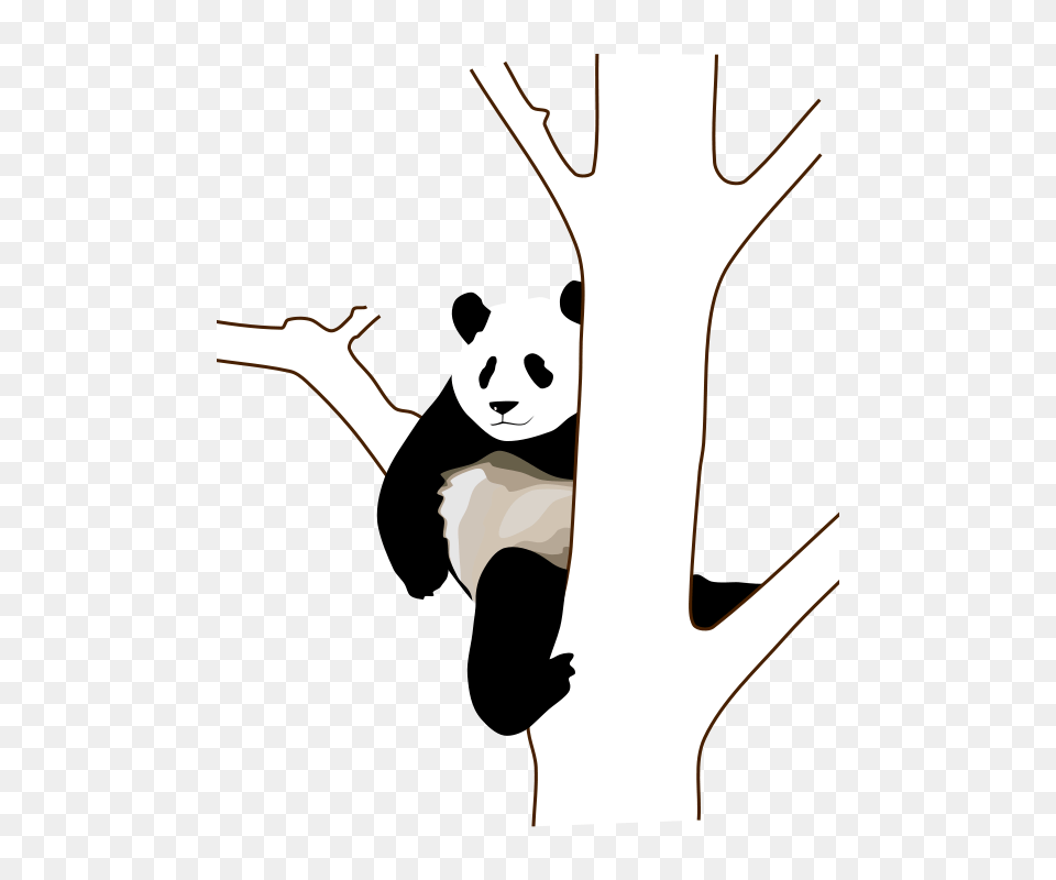 Baronchon Giant Panda, Stencil, Person, Animal, Wildlife Free Png Download