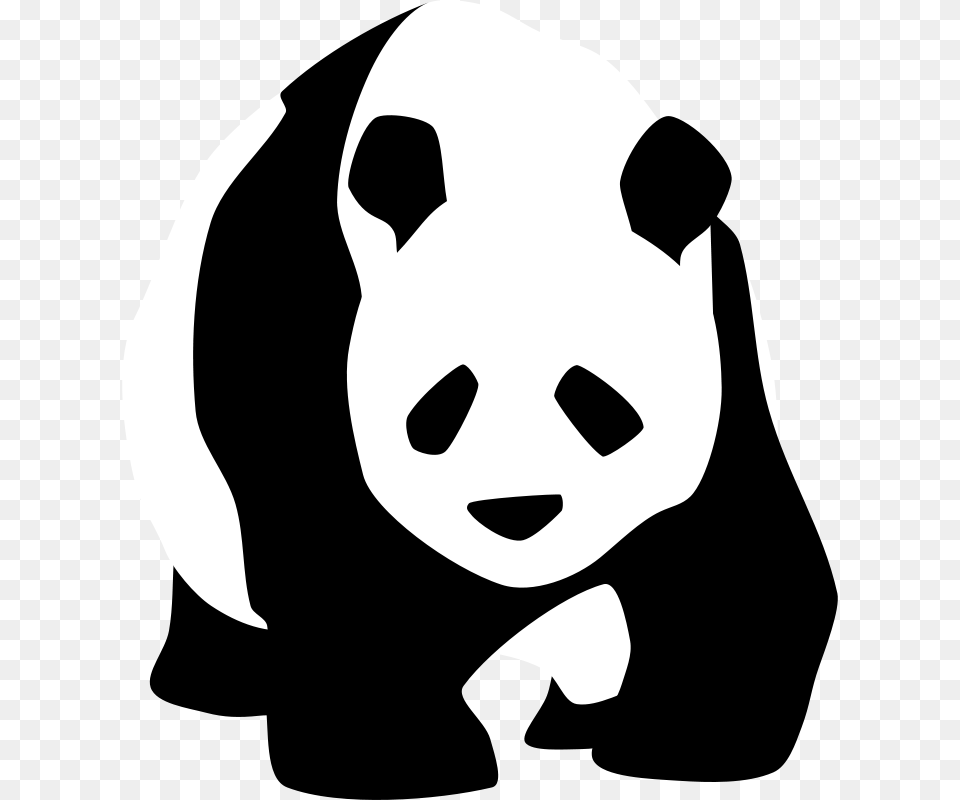 Baronchon Giant Panda, Stencil, Baby, Person, Face Free Png Download