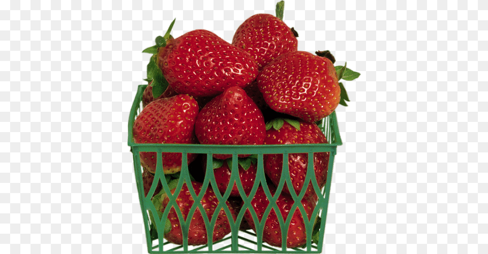 Barquette De Fraises Tube Basket Of Strawberries, Berry, Food, Fruit, Plant Png