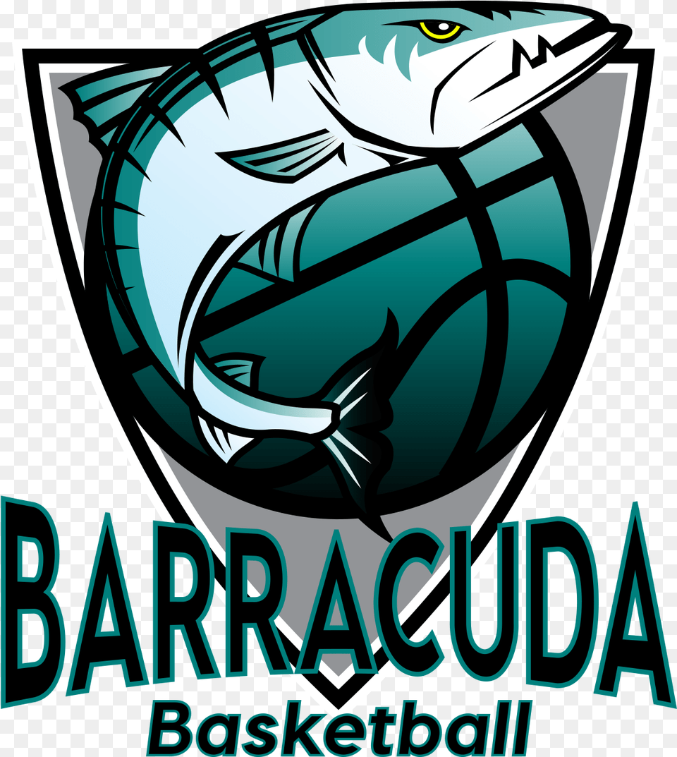 Barracuda Basketball Barracuda Basketball Logo Clipart Barracuda Basketball Logo, Animal, Fish, Sea Life, Tuna Free Transparent Png