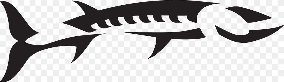 Barracuda Clipart Baracuda, Stencil, Animal, Fish, Sea Life Free Transparent Png