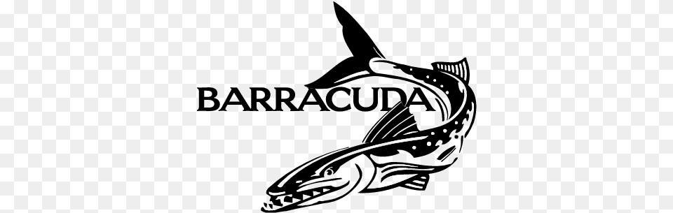 Barracuda Clipart Black And White Barracuda Vector, Animal, Sea Life, Fish Free Png