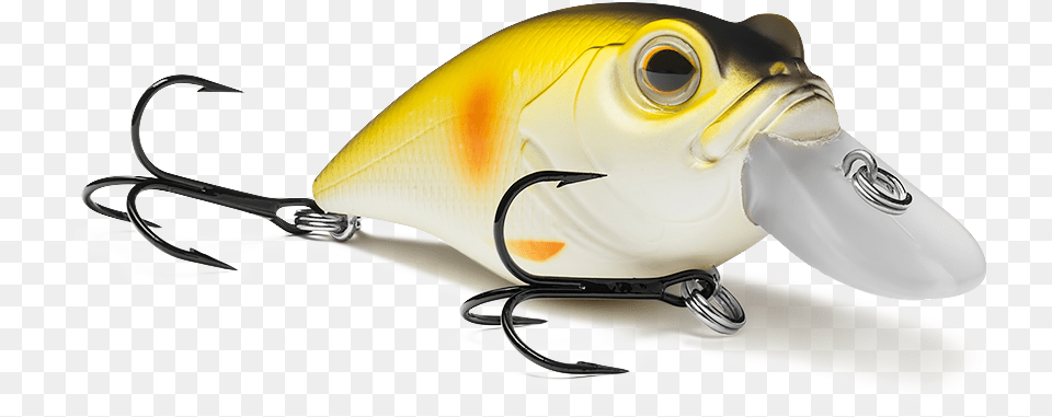 Barramundi, Fishing Lure, Electronics, Hardware Png Image