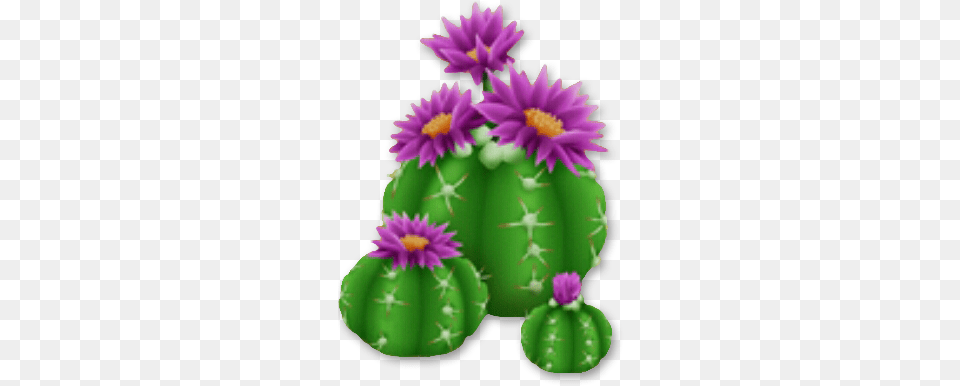 Barrel Cactus Cactus, Plant Free Png