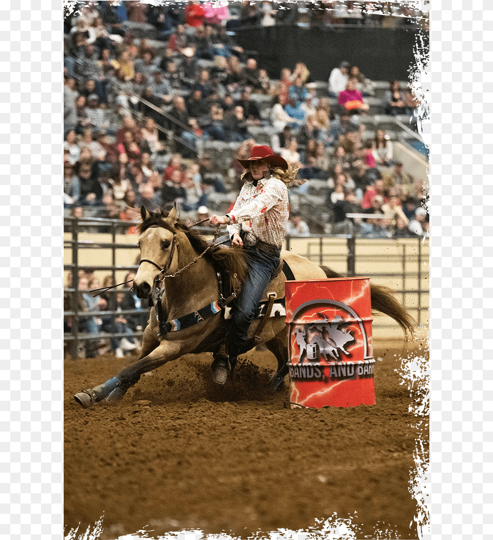 Barrel Racing, Rodeo, Person, Man, Male Png Image