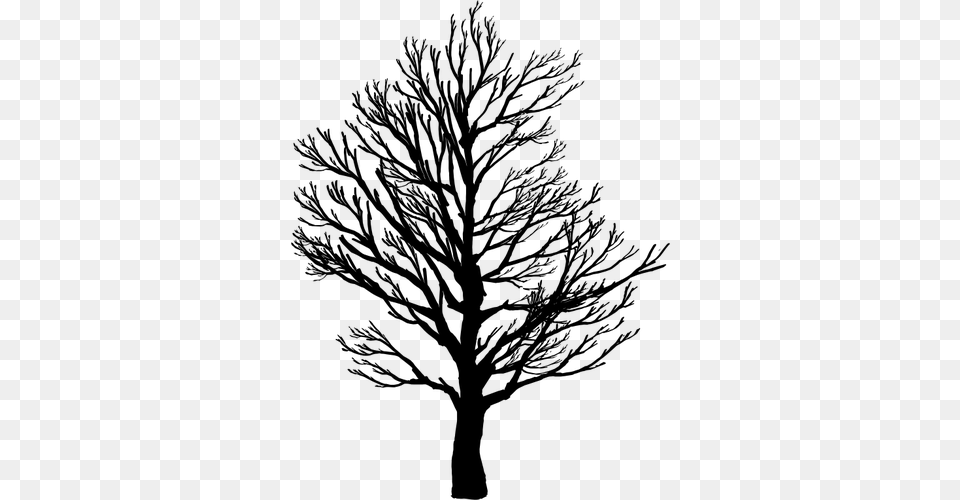 Barren Tree Silhouette, Gray Free Transparent Png