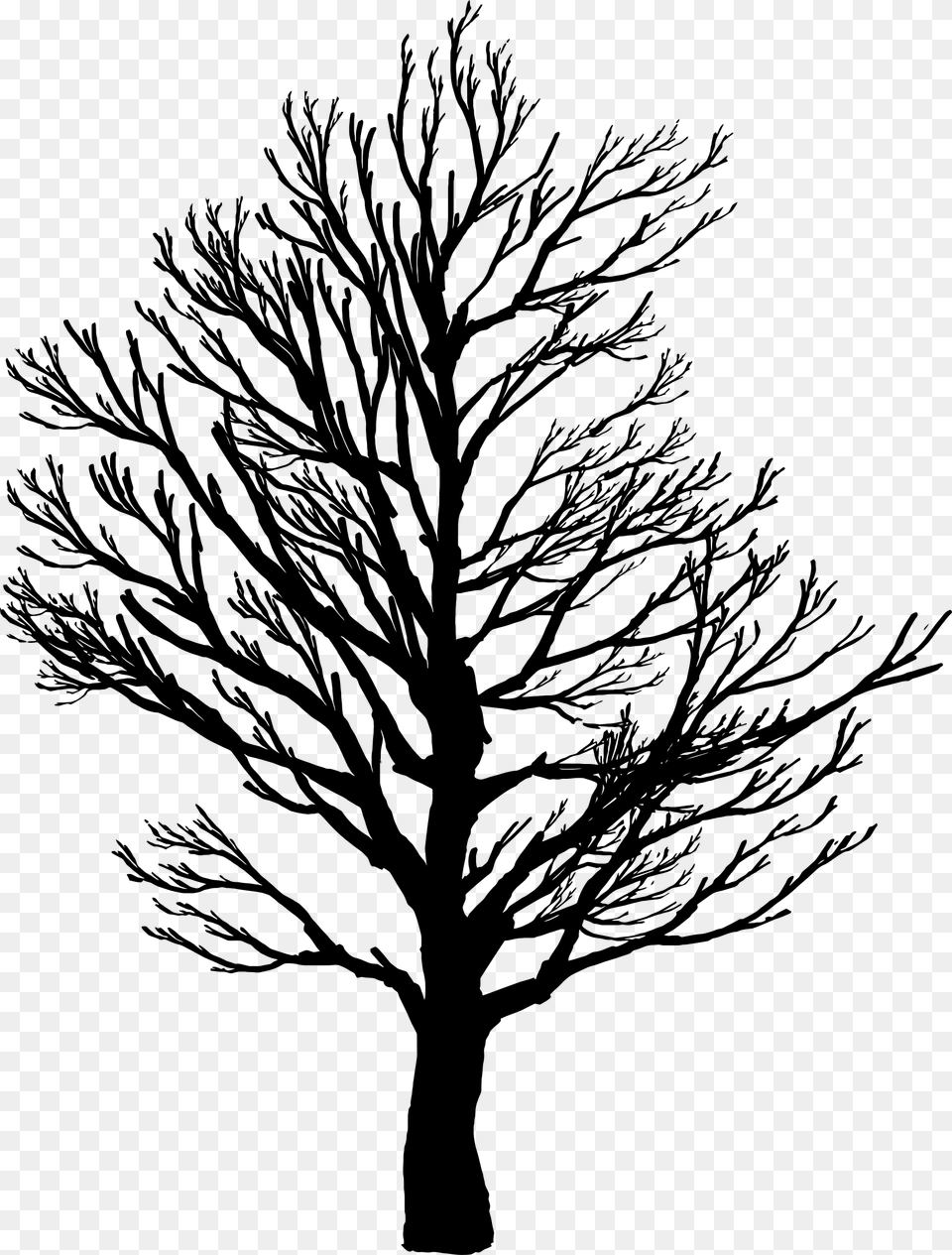 Barren Tree Silhouette Icons, Gray Free Transparent Png