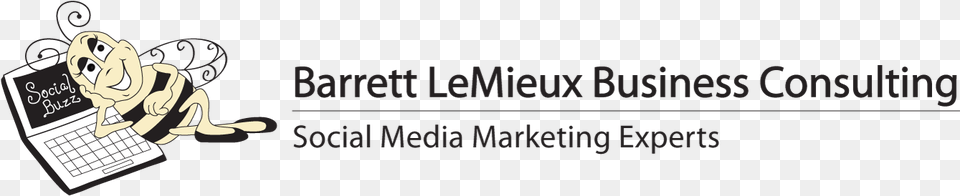 Barrett Lemieux Business Consulting Ink, Computer, Computer Hardware, Computer Keyboard, Electronics Png Image