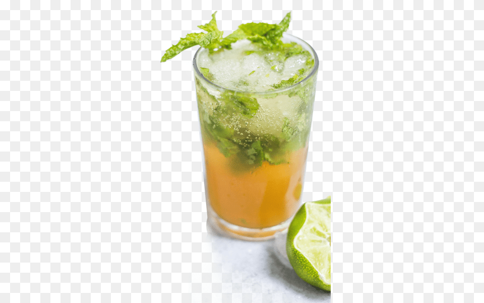 Bartending Is A Great Way To Make Money Have Fun And Drink, Alcohol, Beverage, Plant, Cocktail Png Image