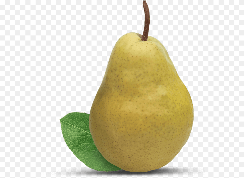 Bartlett Pear Fruit, Food, Plant, Produce Free Png
