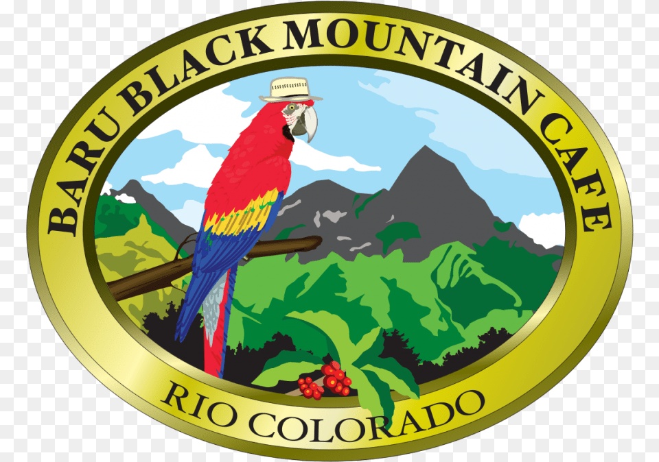 Baru Black Mountain Cafe Logo Logos Download Emblem, Animal, Bird, Parrot, Clothing Png