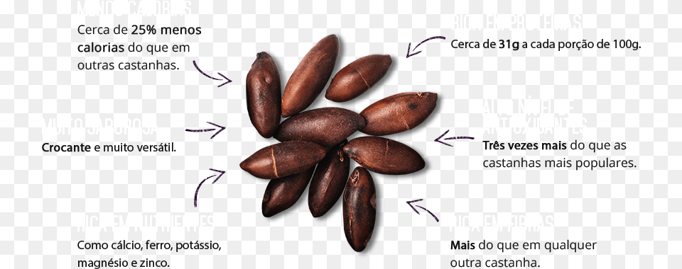 Barukas Nuts, Advertisement, Cocoa, Dessert, Food Free Png