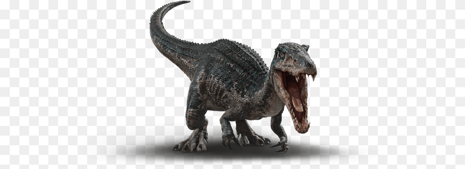 Baryonyx Velociraptor, Animal, Dinosaur, Reptile, T-rex Free Transparent Png
